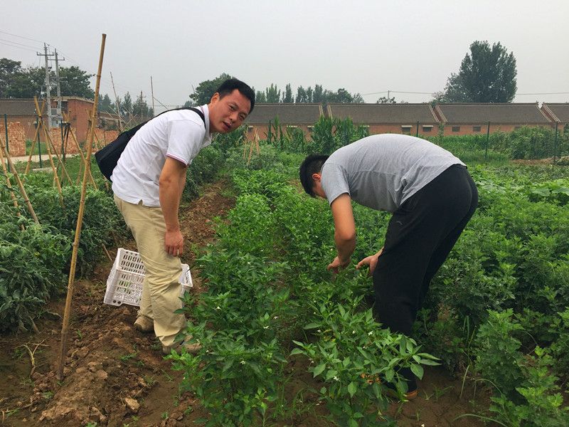 好利來郭總喊您來摘菜啦！綠色無公害，放心！